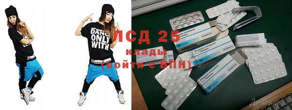 спайс Инта