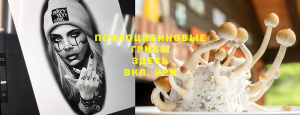 бутират Инсар