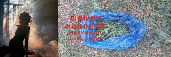 спайс Инта