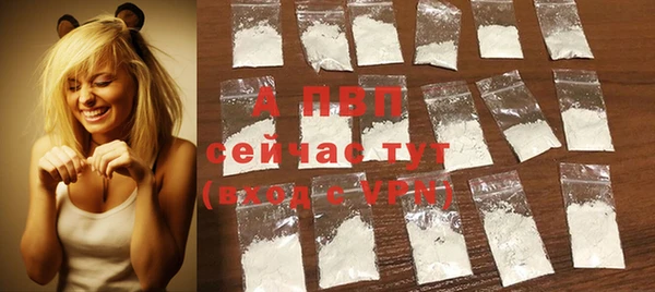 спайс Инта
