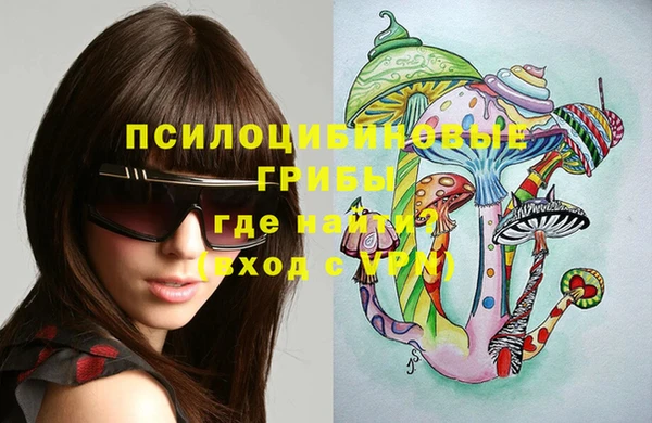 бутират Инсар