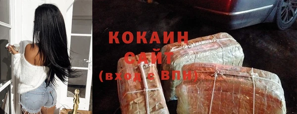 спайс Инта