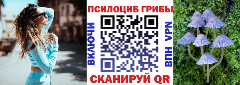 Галлюциногенные грибы мухоморы  Купить закладки  Заполярный 